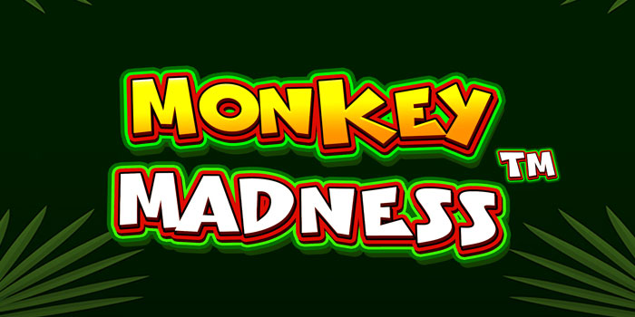 Trik Menang Slot Monkey Madness Untuk Slotter Pemula